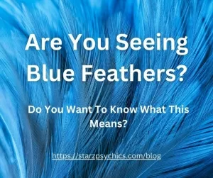 What Does It Mean If You Are Seeing Blue Feathers?